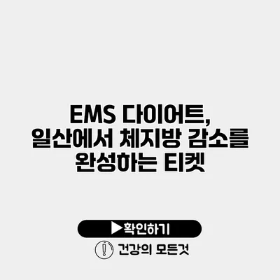 EMS 다이어트, 일산에서 체지방 감소를 완성하는 티켓