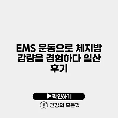 EMS 운동으로 체지방 감량을 경험하다 일산 후기