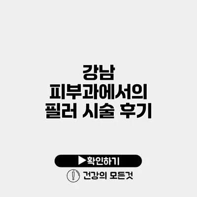 강남 피부과에서의 필러 시술 후기
