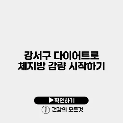 강서구 다이어트로 체지방 감량 시작하기