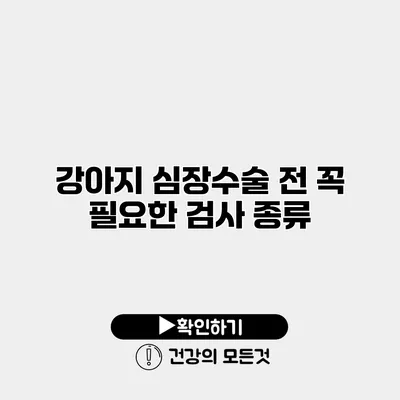강아지 심장수술 전 꼭 필요한 검사 종류
