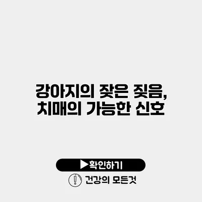 강아지의 잦은 짖음, 치매의 가능한 신호