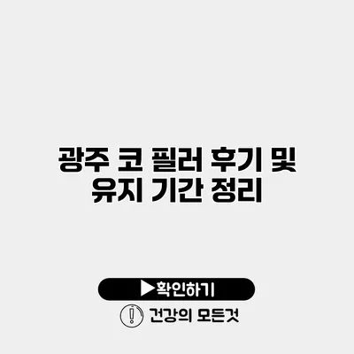 광주 코 필러 후기 및 유지 기간 정리