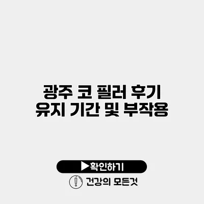 광주 코 필러 후기 유지 기간 및 부작용