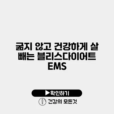 굶지 않고 건강하게 살 빼는 블리스다이어트 EMS