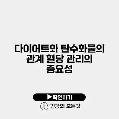 다이어트와 탄수화물의 관계 혈당 관리의 중요성