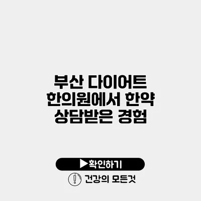 부산 다이어트 한의원에서 한약 상담받은 경험