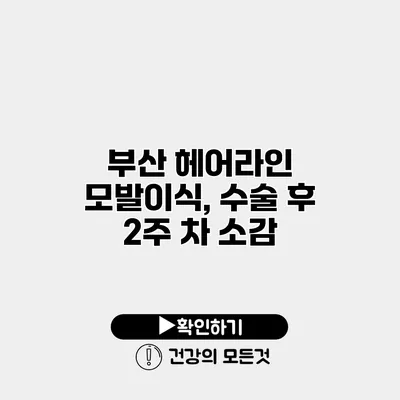 부산 헤어라인 모발이식, 수술 후 2주 차 소감