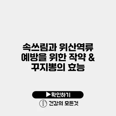 속쓰림과 위산역류 예방을 위한 작약 & 꾸지뽕의 효능