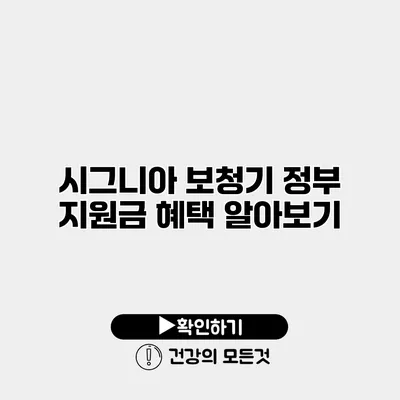 시그니아 보청기 정부 지원금 혜택 알아보기