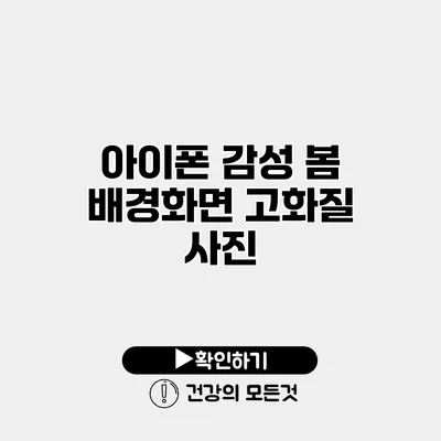 아이폰 감성 봄 배경화면 고화질 사진
