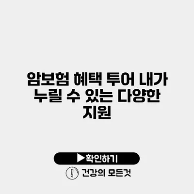 암보험 혜택 투어 내가 누릴 수 있는 다양한 지원