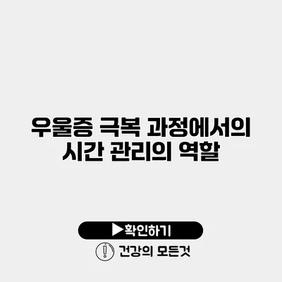 우울증 극복 과정에서의 시간 관리의 역할