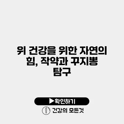 위 건강을 위한 자연의 힘, 작약과 꾸지뽕 탐구