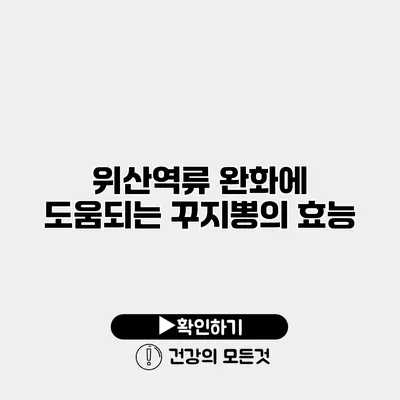 위산역류 완화에 도움되는 꾸지뽕의 효능