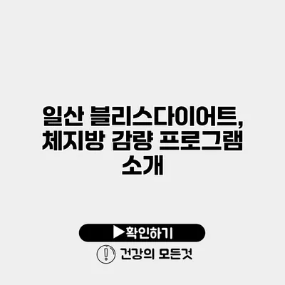 일산 블리스다이어트, 체지방 감량 프로그램 소개