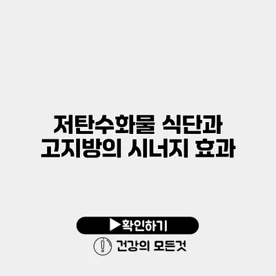 저탄수화물 식단과 고지방의 시너지 효과