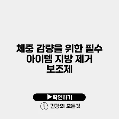 체중 감량을 위한 필수 아이템 지방 제거 보조제