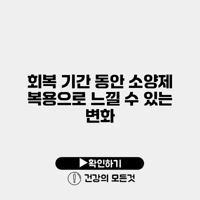 회복 기간 동안 소양제 복용으로 느낄 수 있는 변화
