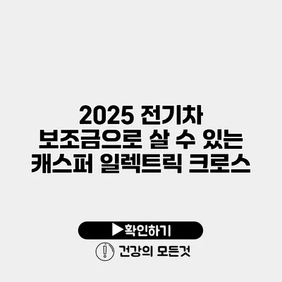2025 전기차 보조금으로 살 수 있는 캐스퍼 일렉트릭 크로스