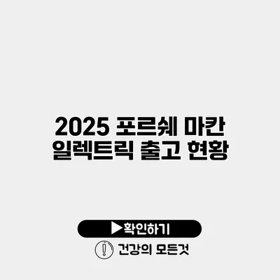 2025 포르쉐 마칸 일렉트릭 출고 현황
