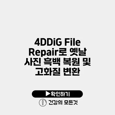4DDiG File Repair로 옛날 사진 흑백 복원 및 고화질 변환