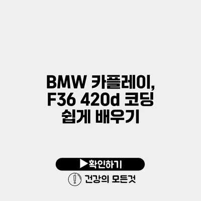 BMW 카플레이, F36 420d 코딩 쉽게 배우기