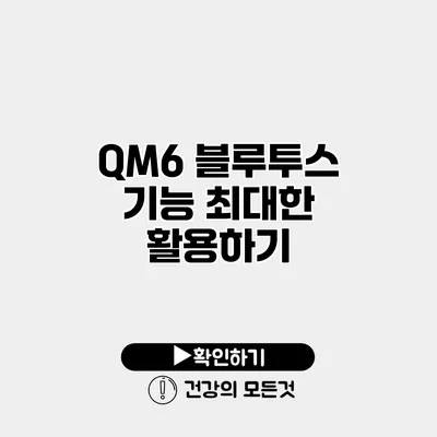 QM6 블루투스 기능 최대한 활용하기