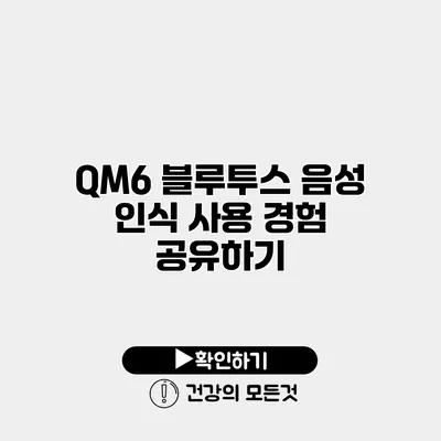 QM6 블루투스 음성 인식 사용 경험 공유하기