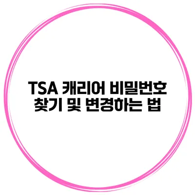 TSA 캐리어 비밀번호 찾기 및 변경하는 법