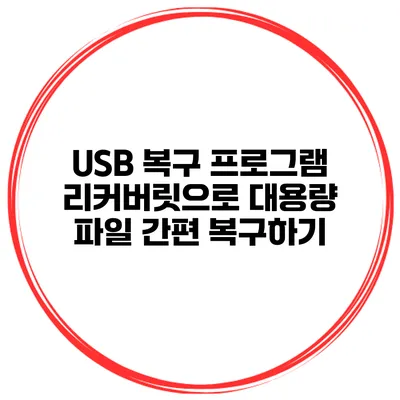 USB 복구 프로그램 리커버릿으로 대용량 파일 간편 복구하기