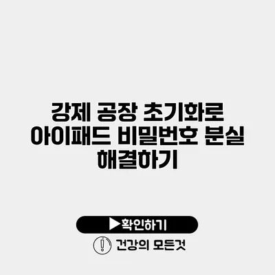 강제 공장 초기화로 아이패드 비밀번호 분실 해결하기