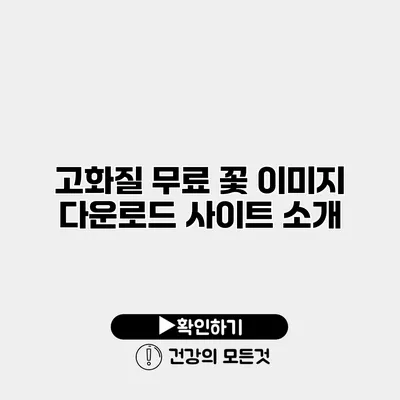 고화질 무료 꽃 이미지 다운로드 사이트 소개