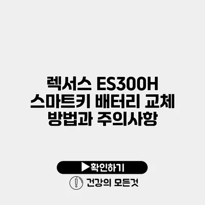 렉서스 ES300H 스마트키 배터리 교체 방법과 주의사항