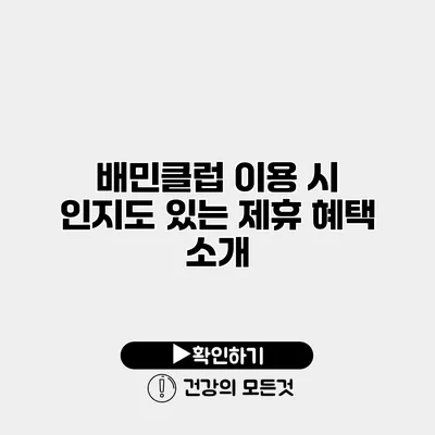 배민클럽 이용 시 인지도 있는 제휴 혜택 소개