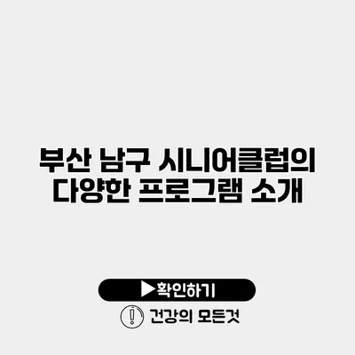 부산 남구 시니어클럽의 다양한 프로그램 소개