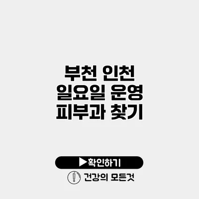 부천 인천 일요일 운영 피부과 찾기