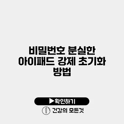 비밀번호 분실한 아이패드 강제 초기화 방법
