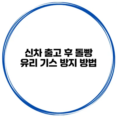 신차 출고 후 돌빵 유리 기스 방지 방법