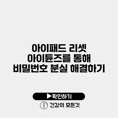 아이패드 리셋 아이튠즈를 통해 비밀번호 분실 해결하기