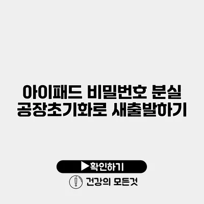 아이패드 비밀번호 분실 공장초기화로 새출발하기