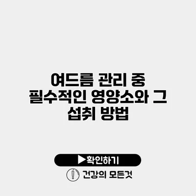 여드름 관리 중 필수적인 영양소와 그 섭취 방법