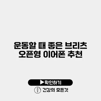 운동할 때 좋은 브리츠 오픈형 이어폰 추천