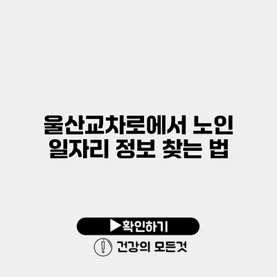 울산교차로에서 노인 일자리 정보 찾는 법