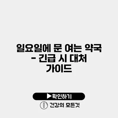 일요일에 문 여는 약국 - 긴급 시 대처 가이드