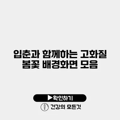 입춘과 함께하는 고화질 봄꽃 배경화면 모음