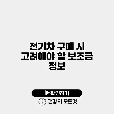 전기차 구매 시 고려해야 할 보조금 정보