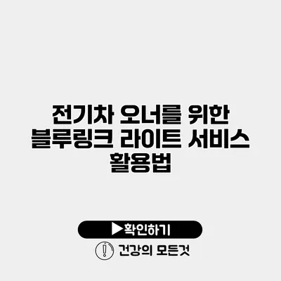 전기차 오너를 위한 블루링크 라이트 서비스 활용법