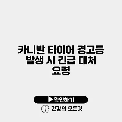 카니발 타이어 경고등 발생 시 긴급 대처 요령