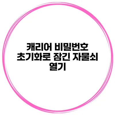 캐리어 비밀번호 초기화로 잠긴 자물쇠 열기